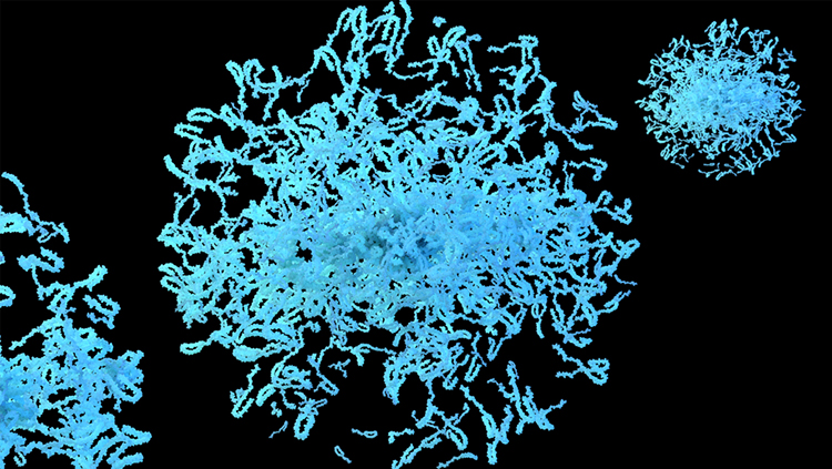 3D rendering of alpha-synuclein protein aggregates