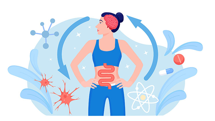 Illustration of woman standing with brain and gut showing