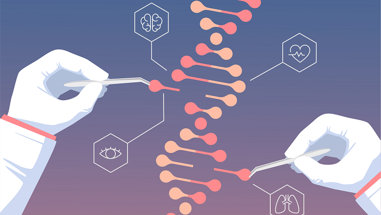 dna orange and red