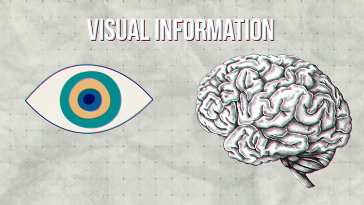 Eyeball and brain with word visual information