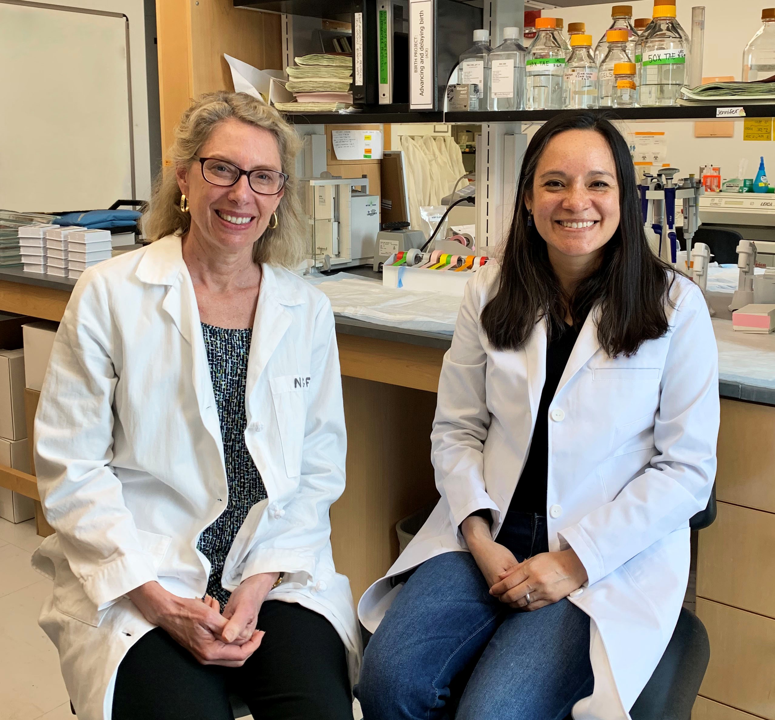 Drs. Alexandra Castillo-Ruiz and Nancy Forger sitting in their lab.