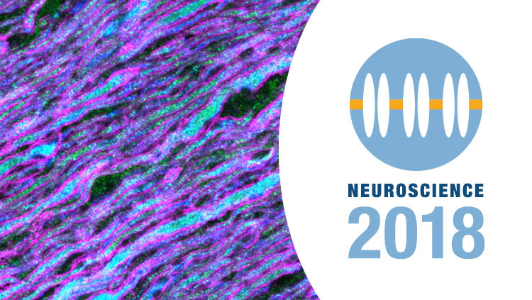 Neuroscience 2018 logo with generic science image