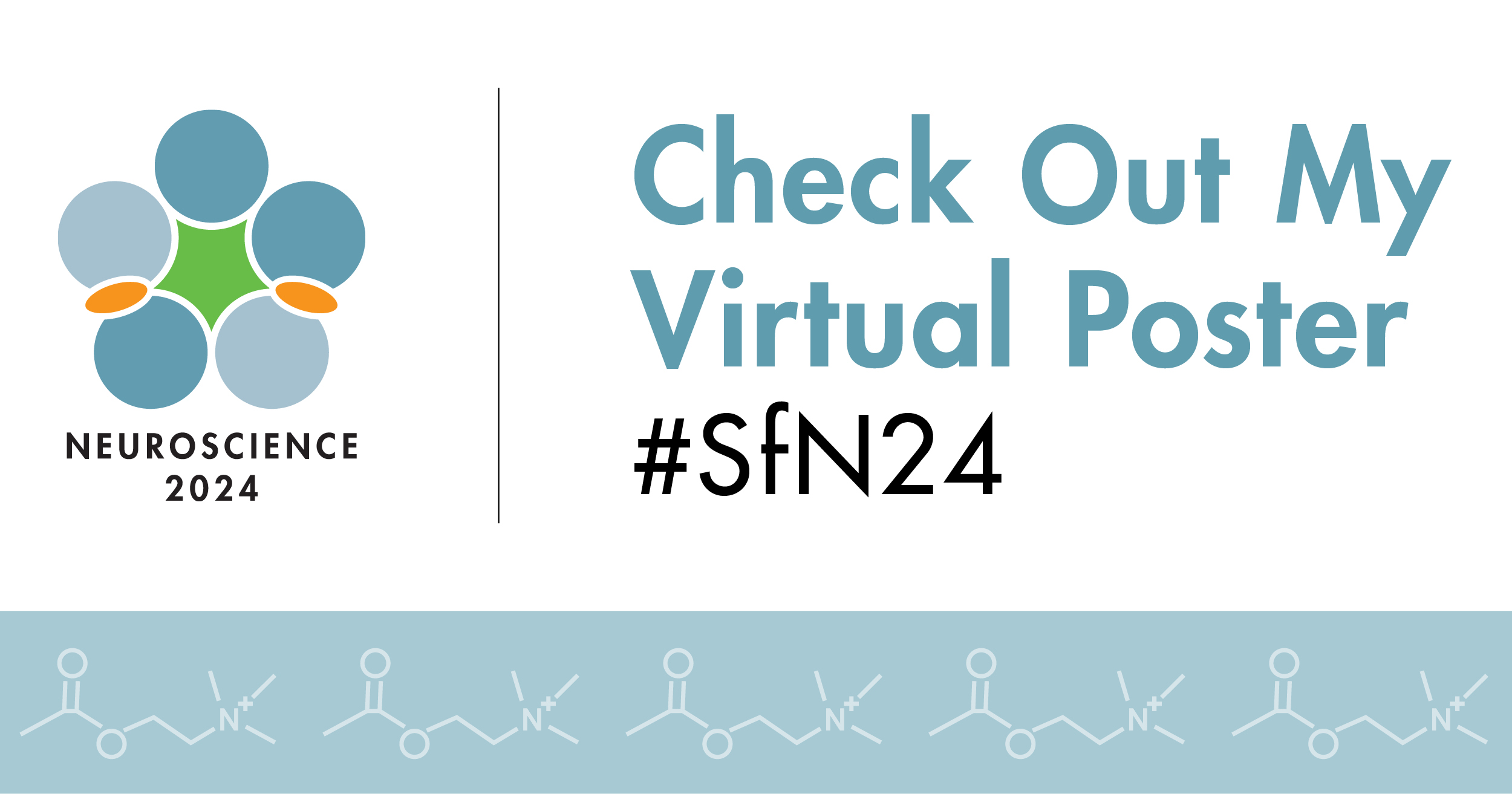 Graphic with Neuroscience 2024 logo and the words Check Out My Virtual Poster #SfN24