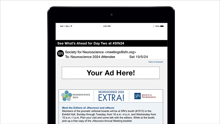 On-site advertising and sponsored products - email newsletter