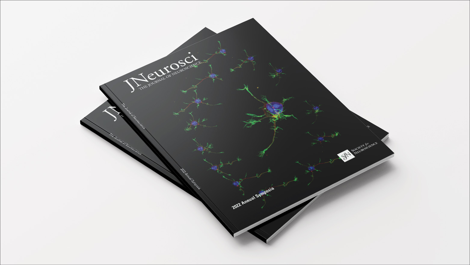 Neuroscience 2025 Advertising and Sponsorship Opportunity - JNeurosci Special Issue