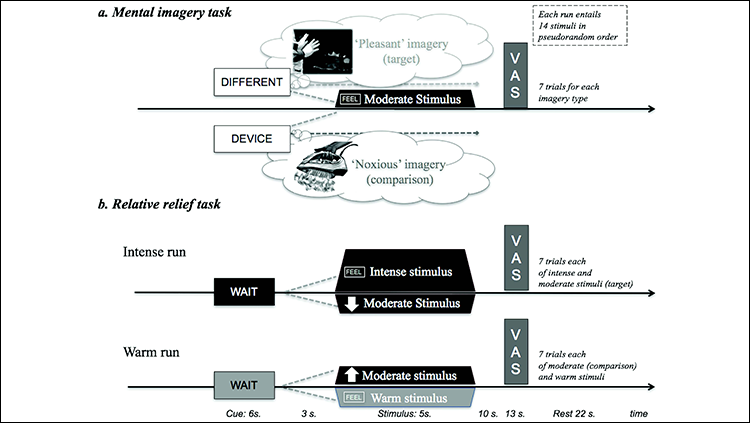 Overview of the two pain modulation tasks. The temperature, number and duration of moderately painful stimuli, as well as the timing of cues, stimuli and VASs were kept the same across tasks to facilitate comparison. To avoid skin sensitization while keeping experiments brief, two thermodes were used to deliver stimuli. A, In the mental imagery task, participants imagined scenarios in which the moderate heat-pain stimuli would either be pleasant (i.e., useful to alleviate hypothermia) or noxious (i.e., a standard, potentially harmful source of heat such as a pain device or a clothes iron). Visual cues displaying the words “different” (target: pleasant imagery) or “device” (comparison imagery) were presented 9 s before the onset of each heat stimulus, instructing participants to start imagining. B, In the relative relief task, visual cues displaying the word “Wait” were presented 9 s before each heat stimulus to induce expectation of intense pain (Intense run, text on red background) or non-painful warm stimuli (Warm run, text displayed on a blue background). Before task onset, participants were informed that the heat stimulus following the initial visual cue would “most likely” be the cued stimulus, the onset of which was then indicated by a cue reading “Feel” (same color background). However, when the second cue was an arrow pointing downward or upward, it indicated the delivery of a modified stimulus. Unbeknownst to participants, the temperature used then was always the one calibrated to induce moderate pain. In the Intense run, the downward pointing arrow indicated a lower temperature stimulus than expected, thus constituting a relative relief cue. In the comparison run, the upward pointing arrow indicated a higher temperature stimulus. The target and comparison stimuli were thus matched for expected and actual likelihood as well as for temperature, duration, and order of appearance.